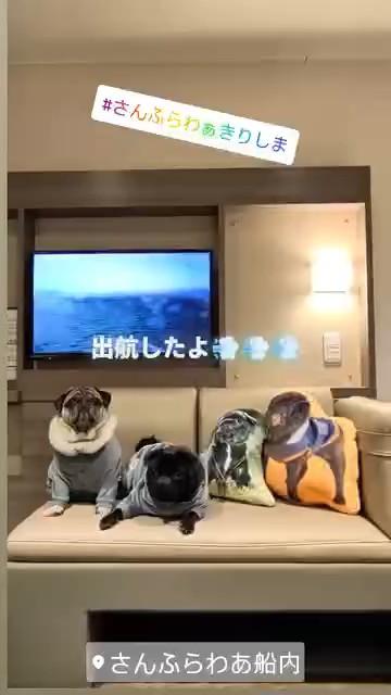 だいずのお迎え旅、出航したよ