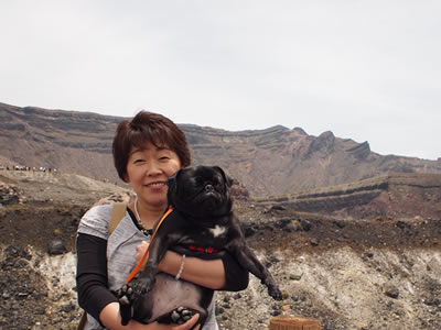 犬旅、阿蘇山の火口とパグのちょび