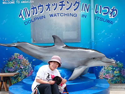 犬旅、天草でイルカウォッチングしてるパグのちょび