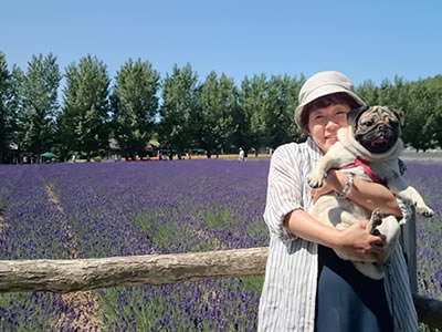犬旅、ファーム富田でパグのこむぎ