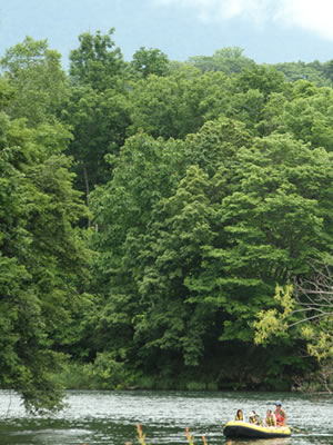 犬旅、パグとニセコ尻別川の川下り