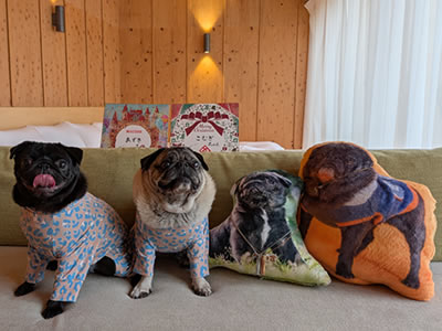 犬旅、ビワドッグ、ヴィラ