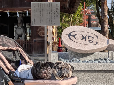 犬旅、多賀大社、おたがしゃくし