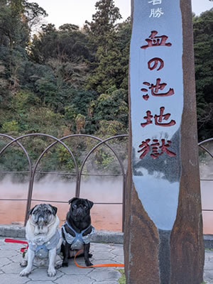 別府、血の池地獄