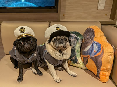 さんふらわぁ、きりしま